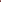 Luxe Bloom WSA000934